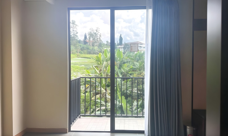 Premier Room